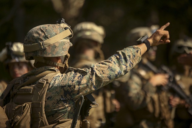 Marines Marines
